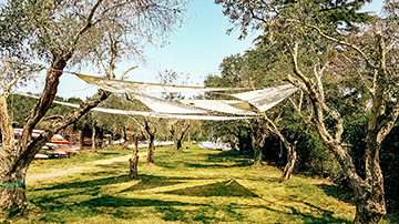 188015f0-a759-4a23-869e-ad85e8f96691