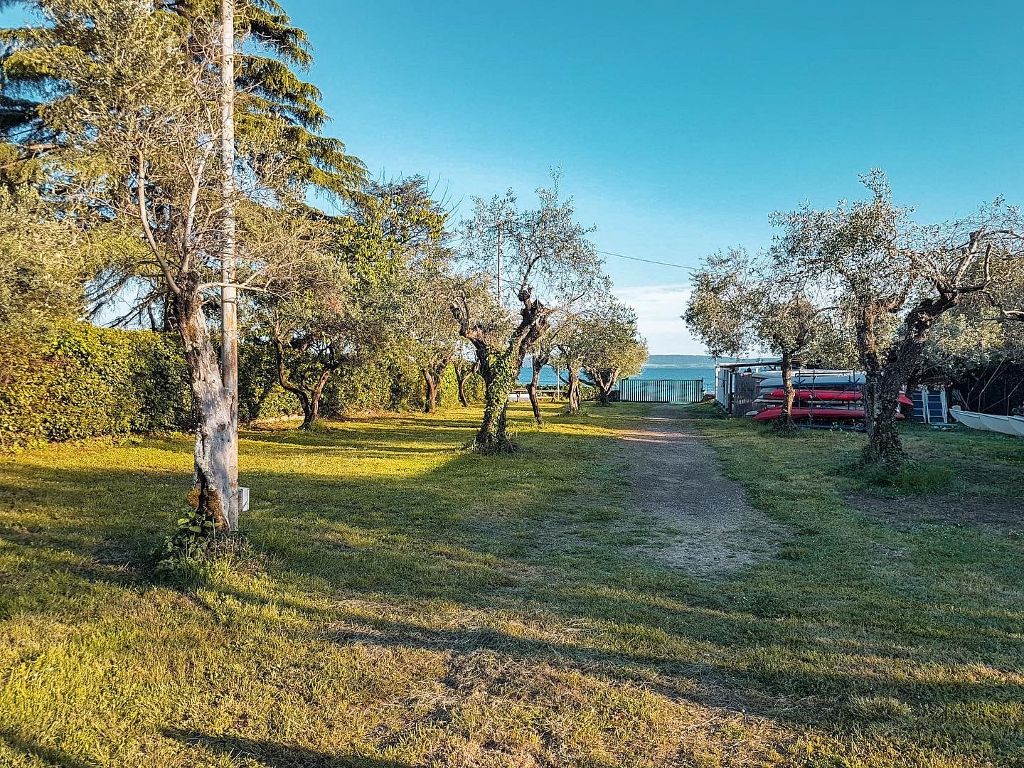 B01DF20B-AD19-48DC-89E4-F8308120B60C